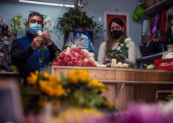 Floristas trabajando con rosas en Benalflor Torremolinos