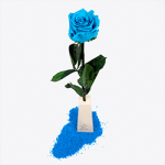 Rosa preservada