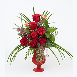 Rosas Rojas 53 €