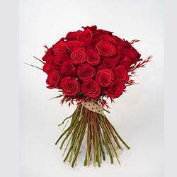 Rosas Rojas 130 €