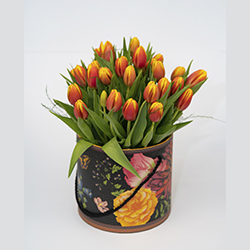 Tulipanes 60 €